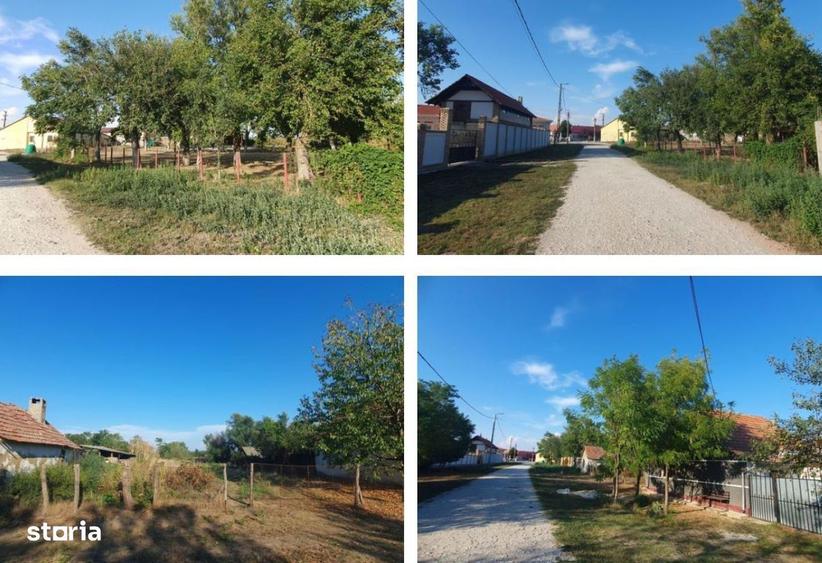 Casa si teren Localitatea Soca, comuna Banloc, judetul Timis - 1