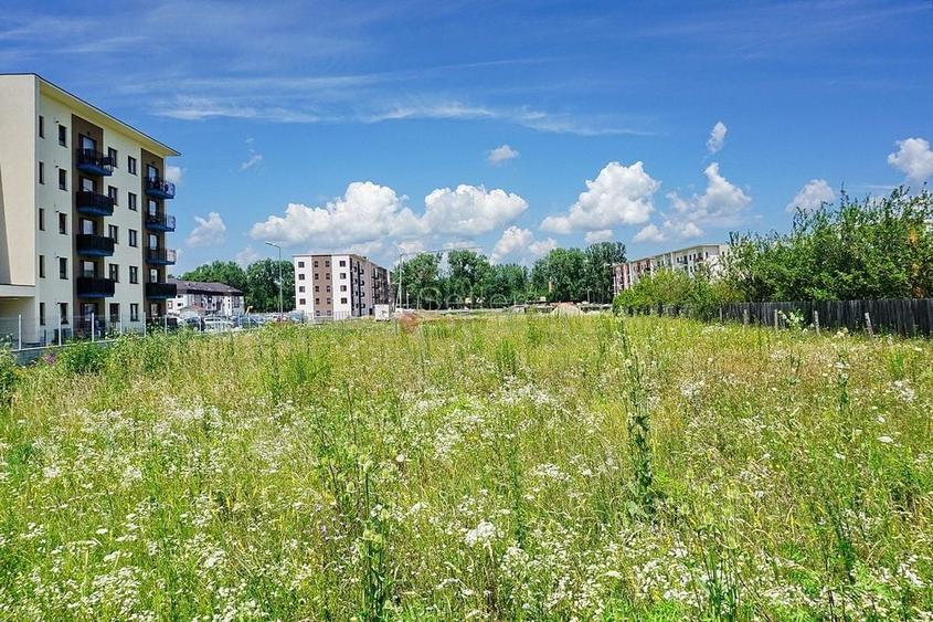 Teren Intravilan - Pretabil Investitie - Dezvoltare Rezidentiala - 3