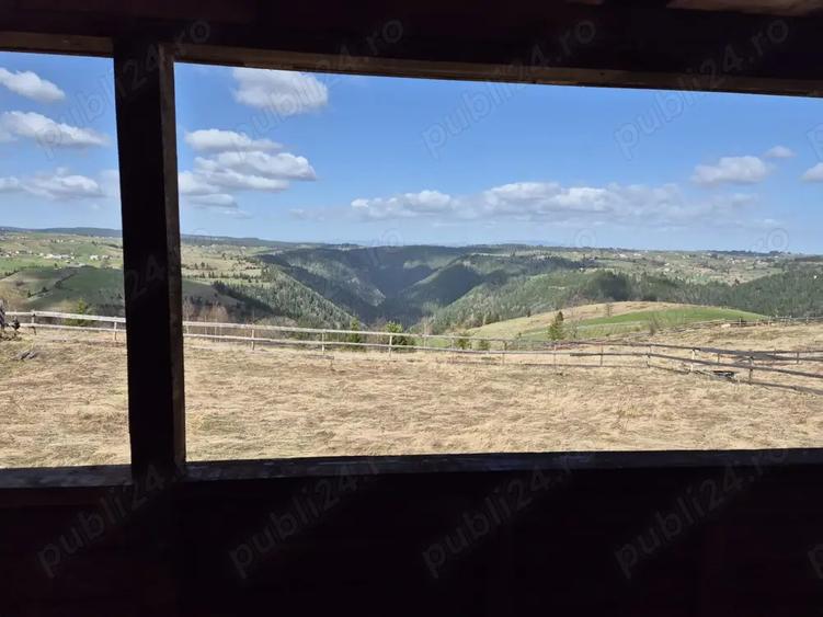 Cabana Maguri Racatau, 38000 eur - 8