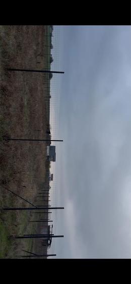 Teren 1845 mp Com Berceni - 5