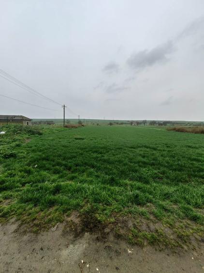 Teren 7.061 mp de vanzare Dropia, Tortomanu | 5/mp | Parcelabil - 2