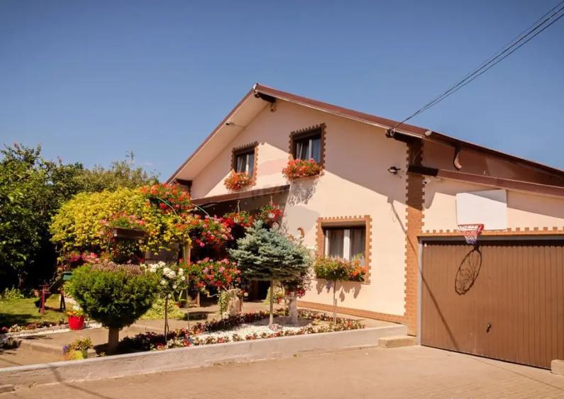 CASA + HALA/SPATIU FIRMA - VOITINEL - 3