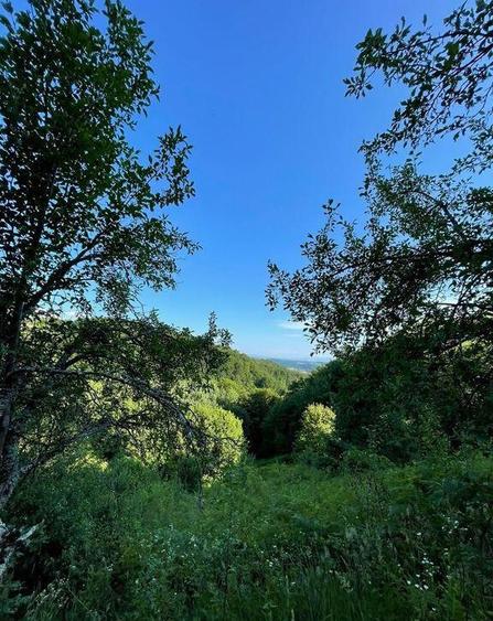 Teren zona turistica Rosia - 10