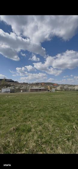 Teren Intravilan Zalau Gradina Onului | 22 ari | Parcelabil - 1