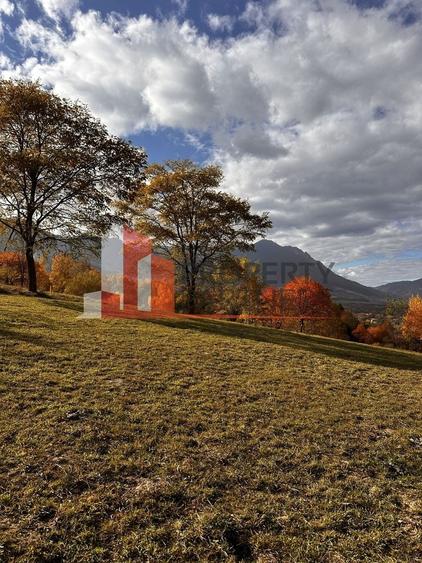 Teren Bran-Tohanita loturi intre 500/1000 mp - 5