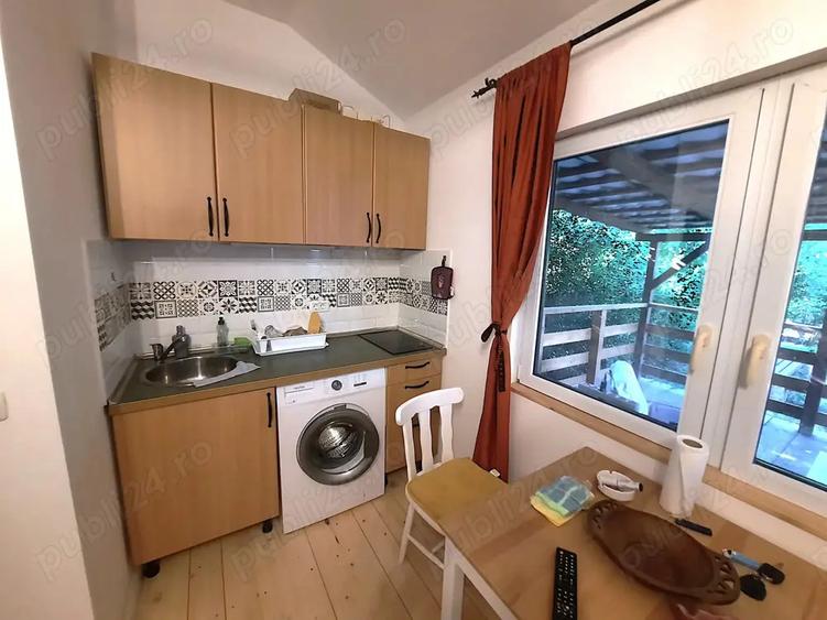 Cabana Insula Mures | 3 insule | cu iesire la Mures - 2