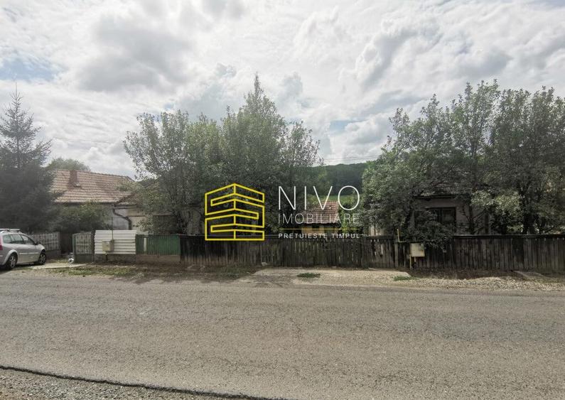 Teren intravilan - Budiu Mic - Str. Principala - 3