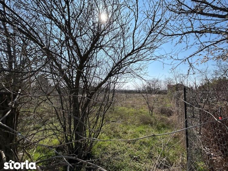 Vadu Corbu Teren superb 1000 mp investitie sau casa de vacanta - 2