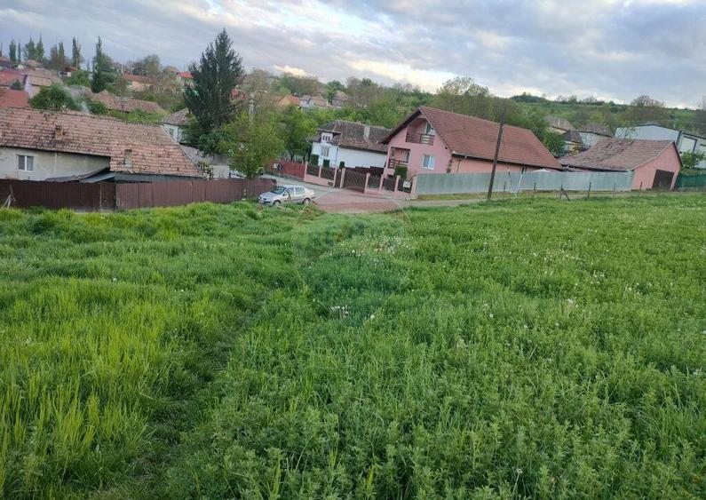 Teren intravilan Tarnaveni - 2