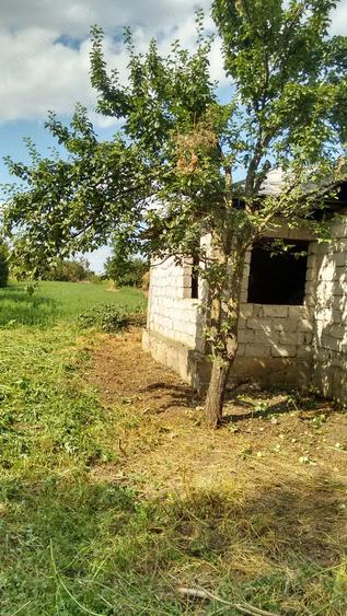 Casa de vanzare - sat. Vasile Alecsandri, jud. Galati - 3
