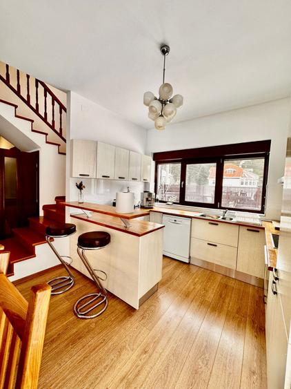 VILA DE INCHIRIAT IN MIJLOCUL NATURII - 25