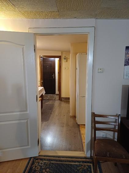 Apartament 2 camere-la vila- ultracentral- langa Aula Universitatii  - 3