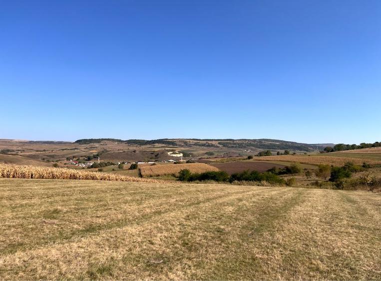 Teren extravilan intabulat Baciu - 7