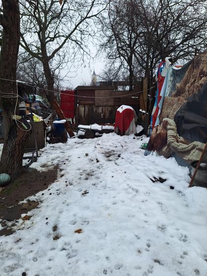 Timisoara-Fratelia,casa de vanzare - 2