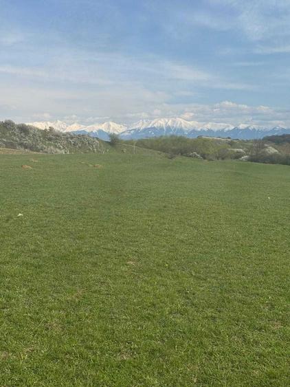 PROPRIETAR Teren langa satul Bungard - 7