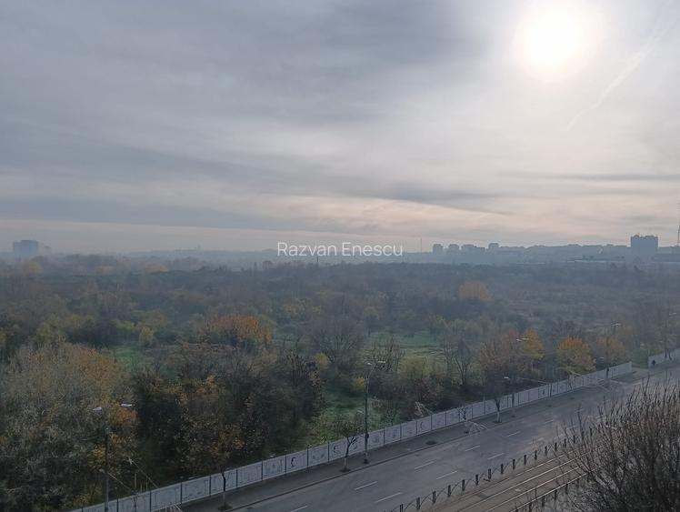 Primul chirias, Vedere superba asupra Parcului Natural Vacaresti