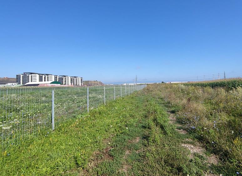 Teren intravilan cu potențial excelent în Triaj, Narciselor, pentru dezvoltatori - 8