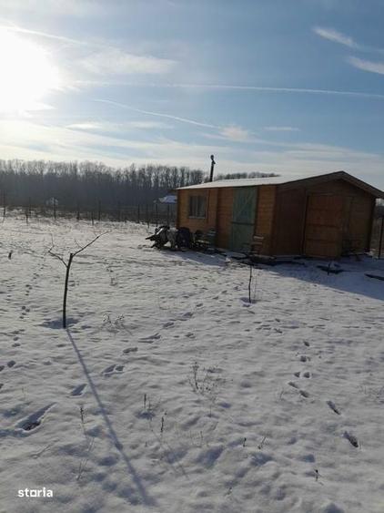 Vand teren cu anexa locuibila la padurea Scrovistea - 2