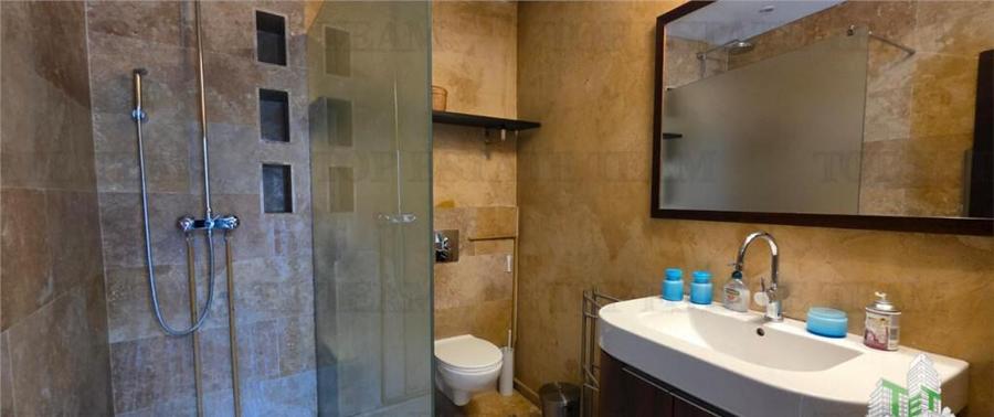 Casa individuala de zona Domenii - 8