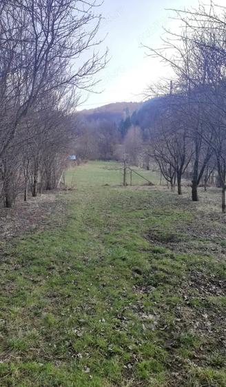 Casa si teren de vanzare, direct proprietar, intrare Bucsoaia, Suceava - 4