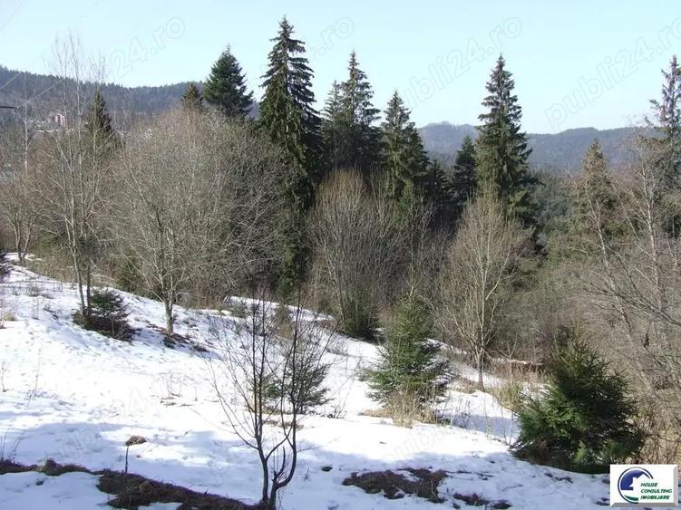Teren situat in Predeal - 1