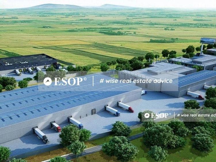 NGB Distribution Center, depozitare, productie, 2.000 - 12.000mp - 3
