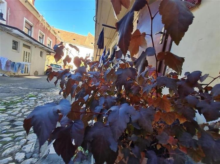 TUR 3D! Refugiu rafinat in Schei, Casa cu 3 camere amenajata cu stil, Brasov - 15