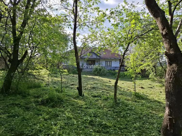 Casa in Moinesti cu teren 1870m2 si 90 m deschide la strada Stefan Luchian Casa in Moinesti cu teren 1870m2 si 90 m deschide la strada Stefan Luchian