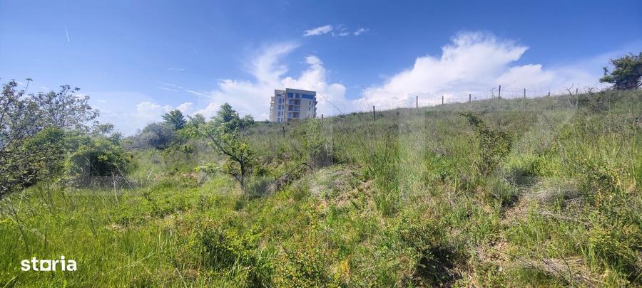 Teren Panoramic 15.500 mp Investitie sau Dezvoltare, Zona Aleea Ma - 12