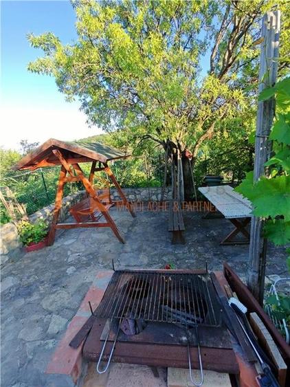 EXCLUSIVITATE! Casa+teren si cabana de lemn zona Naeni - 30