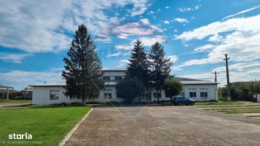 Teren Industrial de Vanzare 4.4 Ha - Zona industriala - Harlau - 2