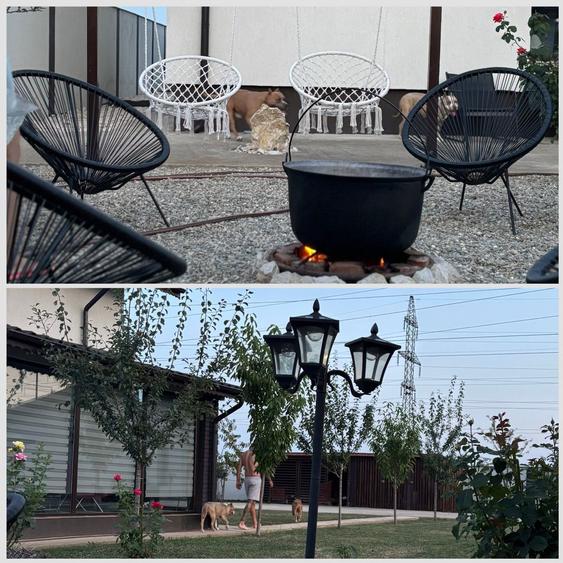 Casa cozy, cu foisor si spatiu pentru afacerea ta - 2