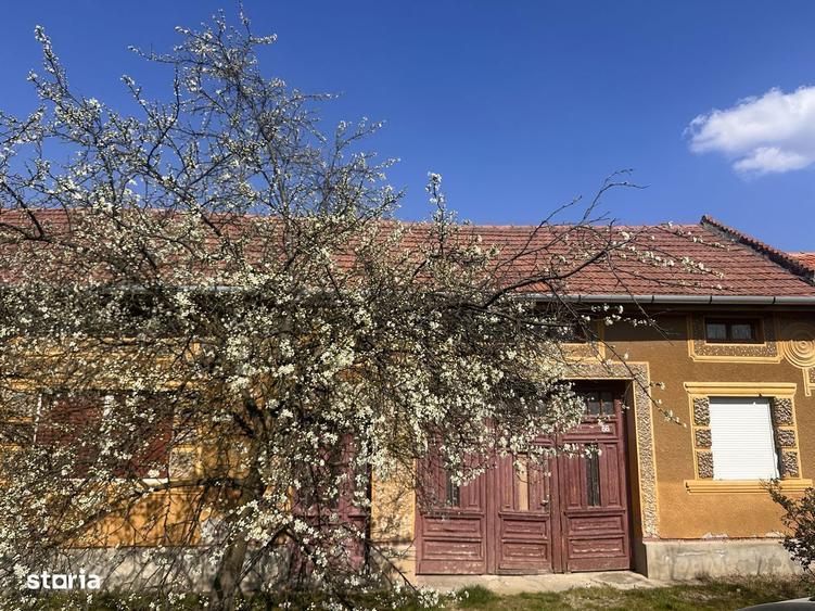 Casa veche cu potential exceptional | Lugojel, langa Lugoj - 1