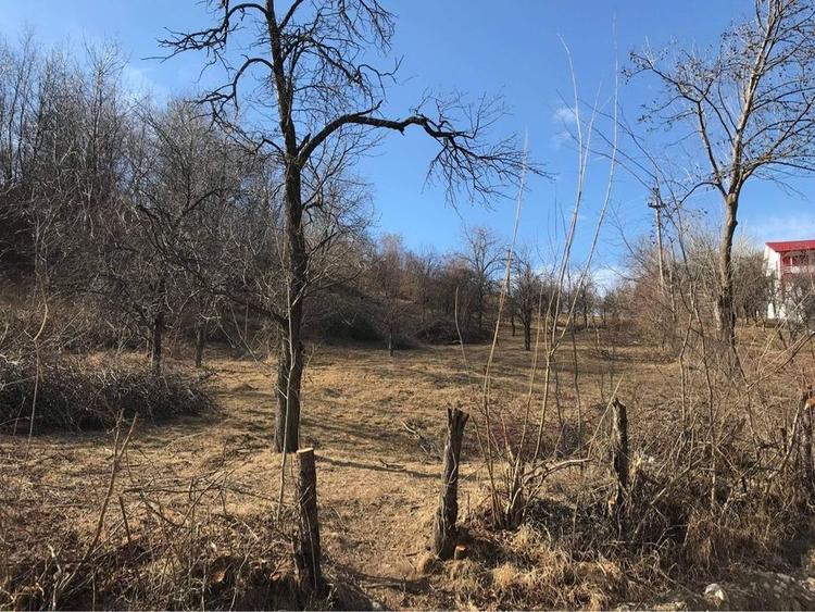 Teren Breaza 4400 mp - 2