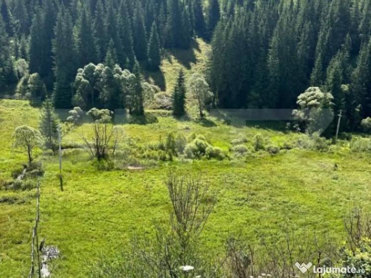 Teren intravilan de vanzare, 6941 mp, zona Mestecani? - 3