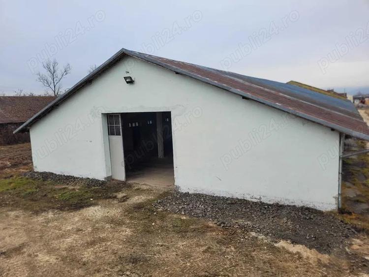 Hale de inchiriat - 1200m2 pana la 7200m2 Teiu Jud Hunedoara langa autostrada - 1