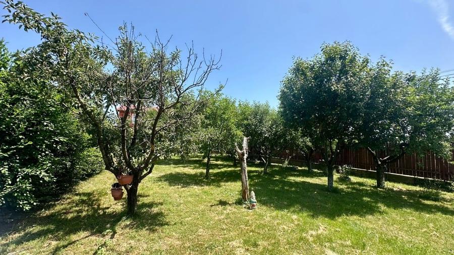 REV2002860 Vila 5 camere Balotesti I 1000 mp - 3