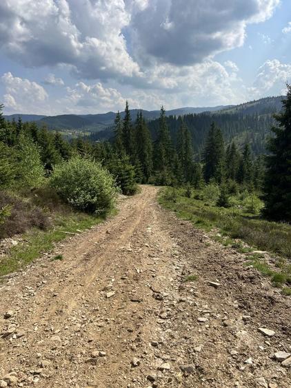 Teren intravilan 5318 mp Poiana Horea-Belis - 3