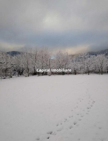 House for sale, 5 Rooms, 180 sqm, Valea Dejani - 10