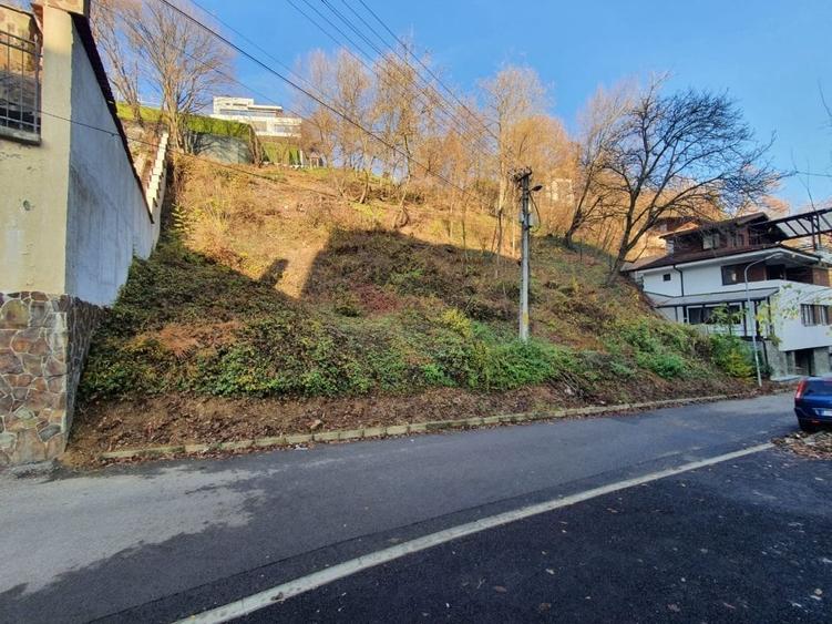 ZONA DEOSEBITA CU MULTA VERDEATA - 5