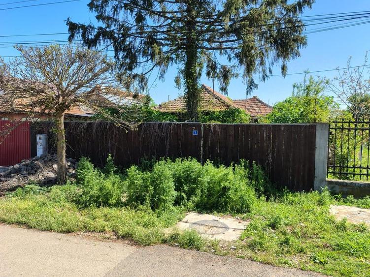 Moara Vlasiei, 320 MP, asfalt+utilitati, urbanism+avize - 35.000 EUR - 1