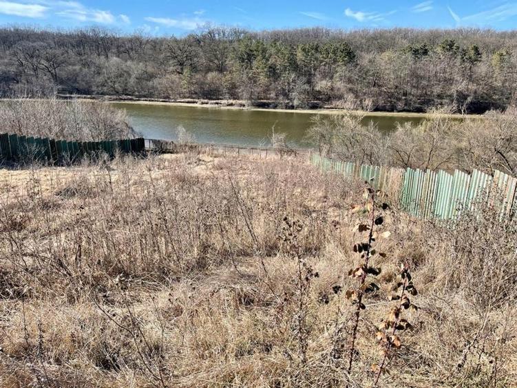 Teren Branesti cu deschidere la lac aproape de padure - 3