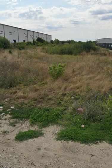 Afumati   Vanzare Teren extravilan  10 000mp - 2