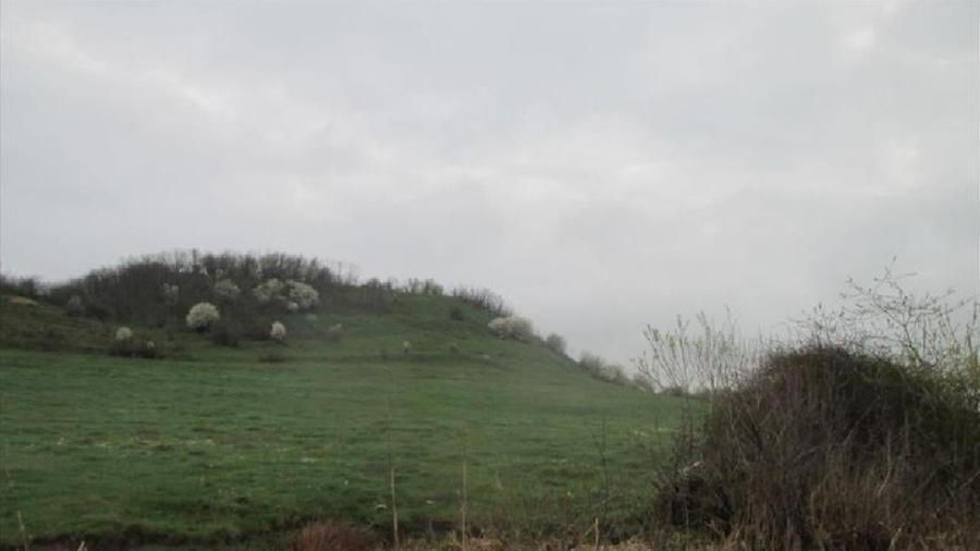 Teren extravilan de 5900 mp, în Hălchiu