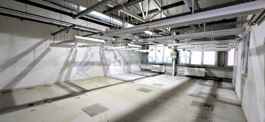 Hala de inchiriat in Marghita pentru productie si depozitare, Bihor - 9