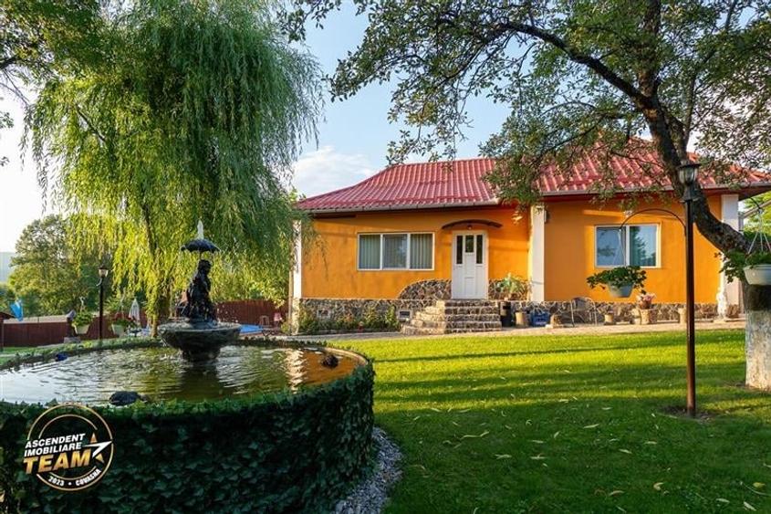 FILM&3D! Doua case cu:piscina,foisor,arbori decorativi,1.700mp teren,Lutoasa,Cov - 12