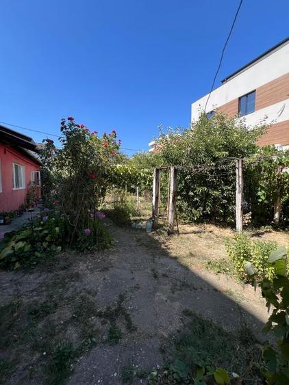 Teren str Renasterii Chitila - 5