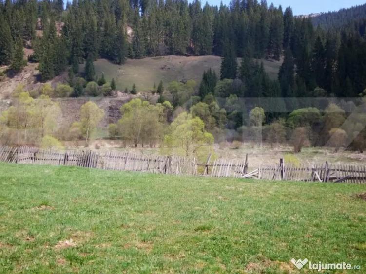 Teren intravilan in Vatra Dornei, 1299 mp - 2