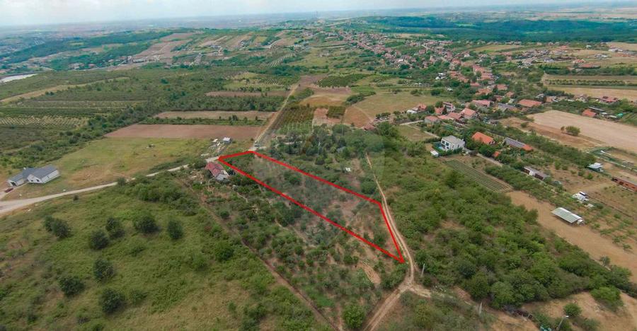 De vanzare Teren 3995mp intravilan Saldabagiu de Munte - 4