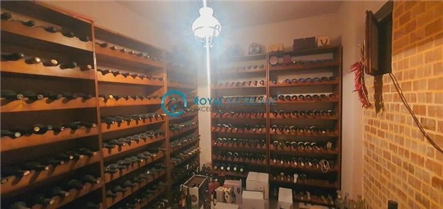 Royal Imobiliare - vanzare vila de lux, zona Albert - 26